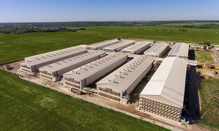 птичники "ЯСЕНСВИТ"