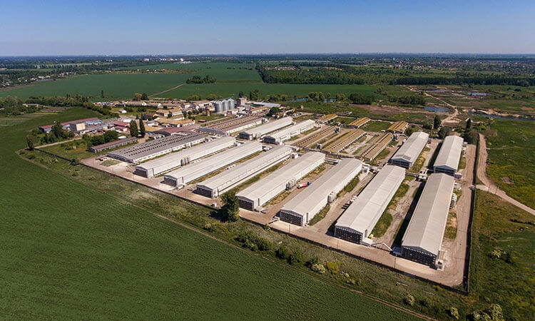 инфраструктура птицефабрики "ЯСЕНСВИТ"