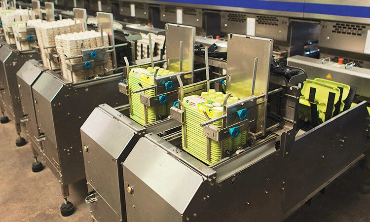 фасовка продукции "ЯСЕНСВИТ"