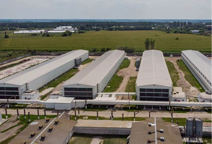 Про бренд Ясенсвит