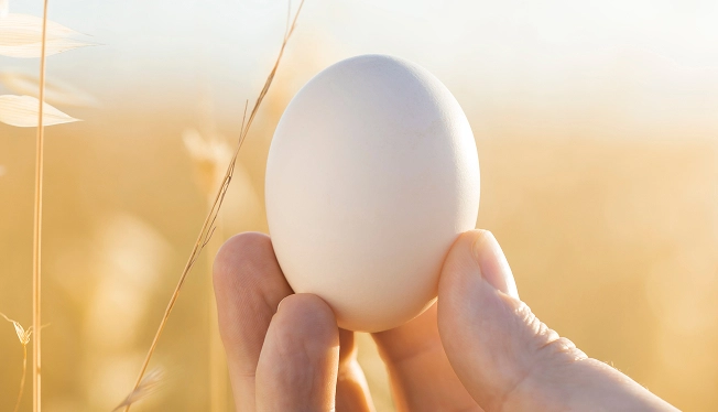 Устойчивое развитие