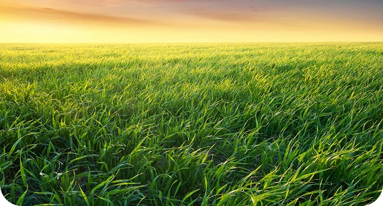 Экологическая ответственность