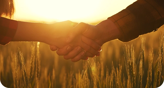 Развитие сотрудников