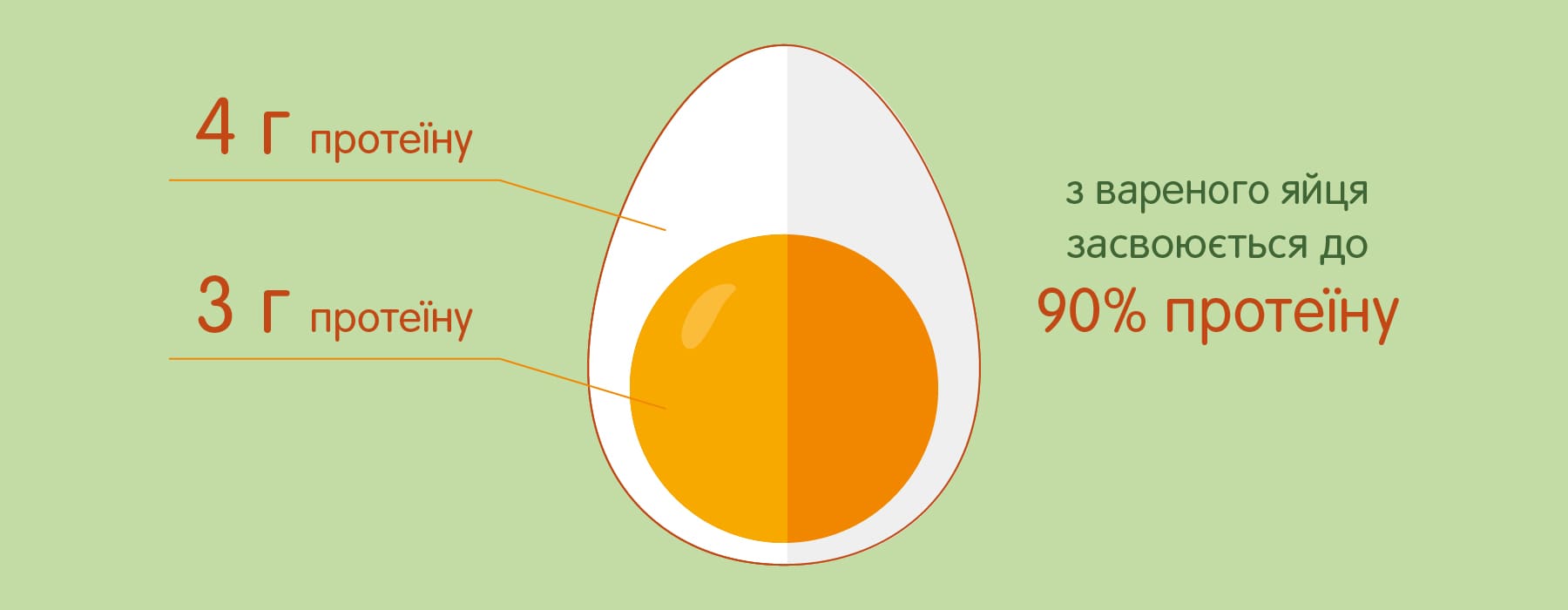 скільки білка засвоюється з яєць