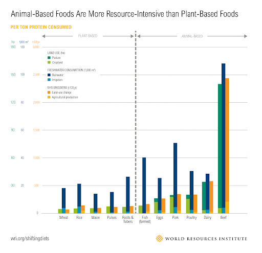 скільки ресурсів споживає виробництво продуктів харчування