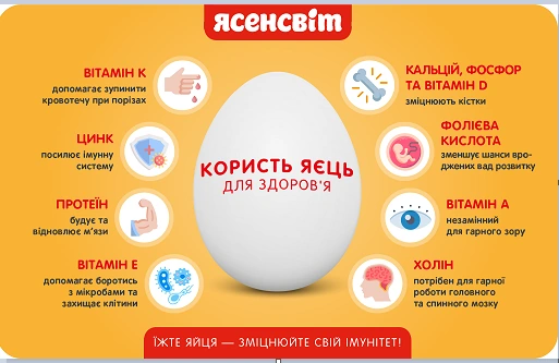 Переваги споживання яйця для здоров'я