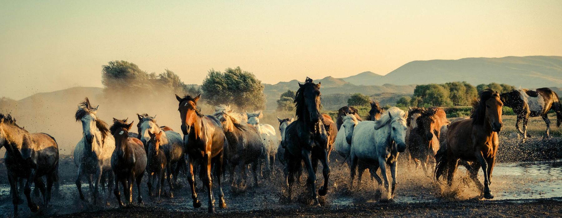 Стихия огня и её влияние в 2026 году