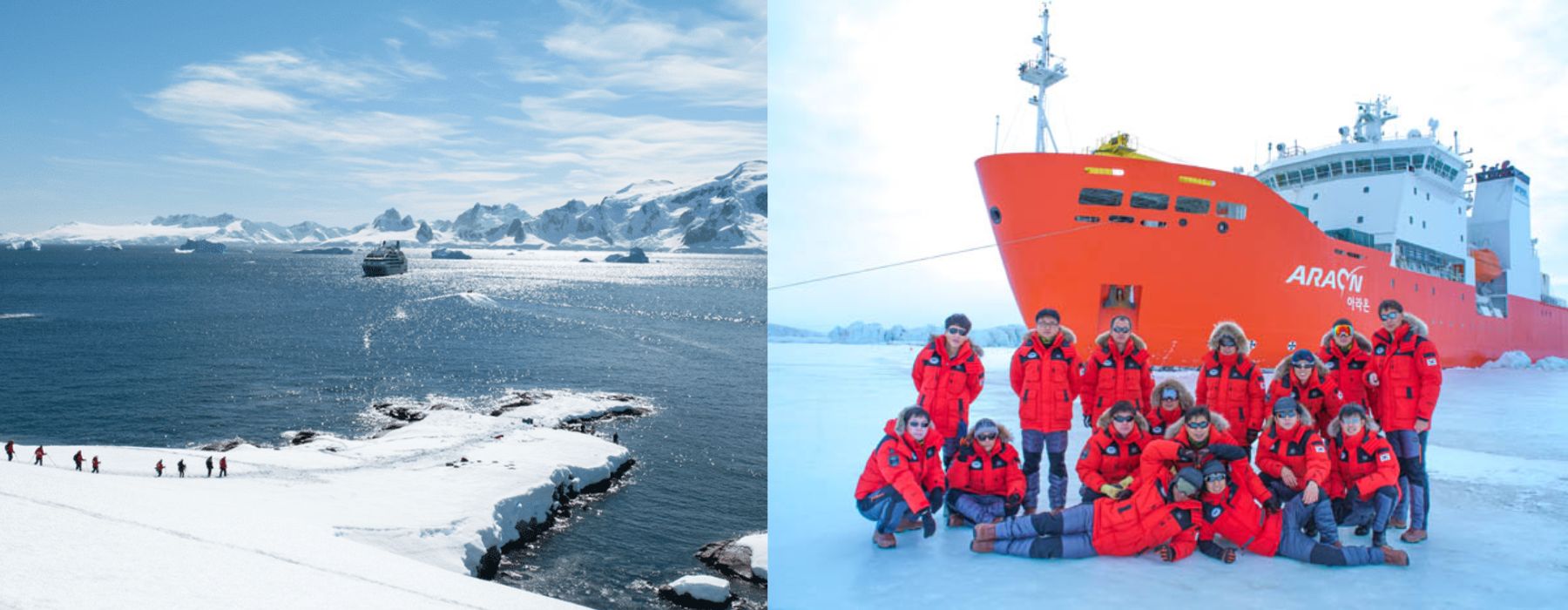 Новий рік в Антарктиді