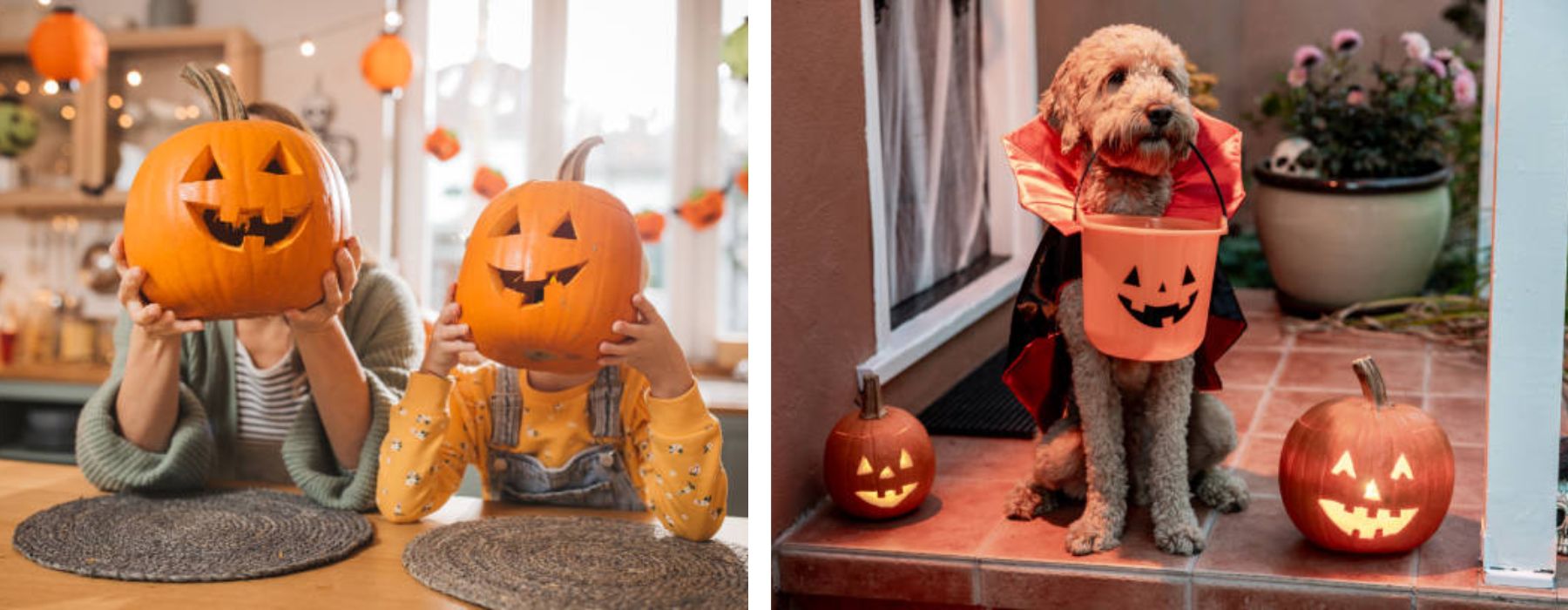 Як прикрашати на Хеллоувін дім