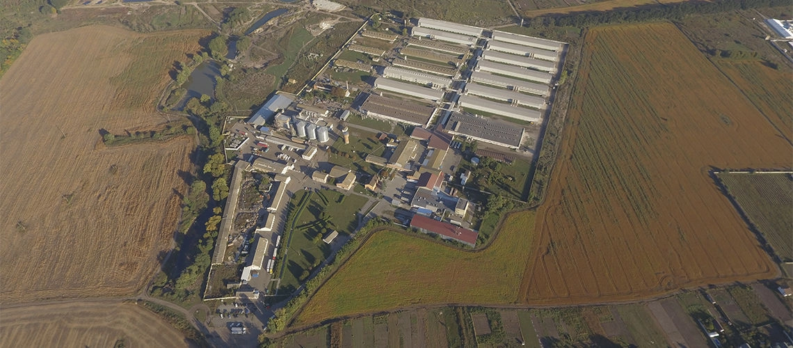 Проведен аудит системы менеджмента качества птицефабрика ЯСЕНСВИТ