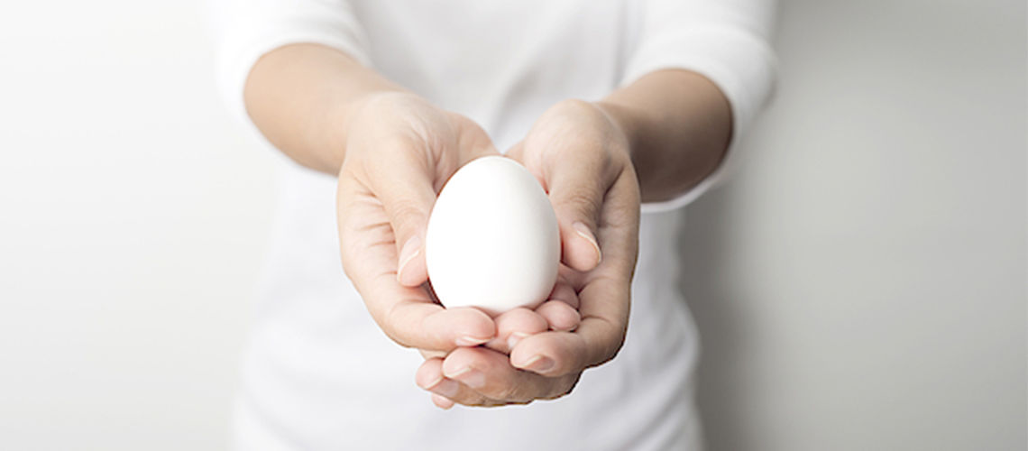 Мифы о куриных яйцах