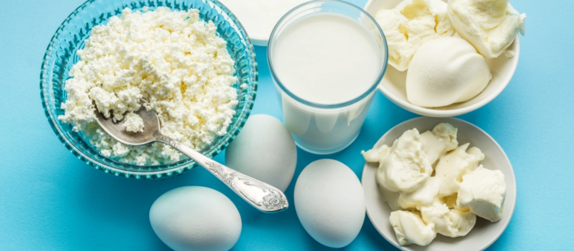 Види протеїну види протеїну