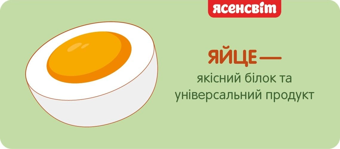 Яйцо — источник качественного белка и универсальный продукт яйцо – качественный белок и универсальный продукт
