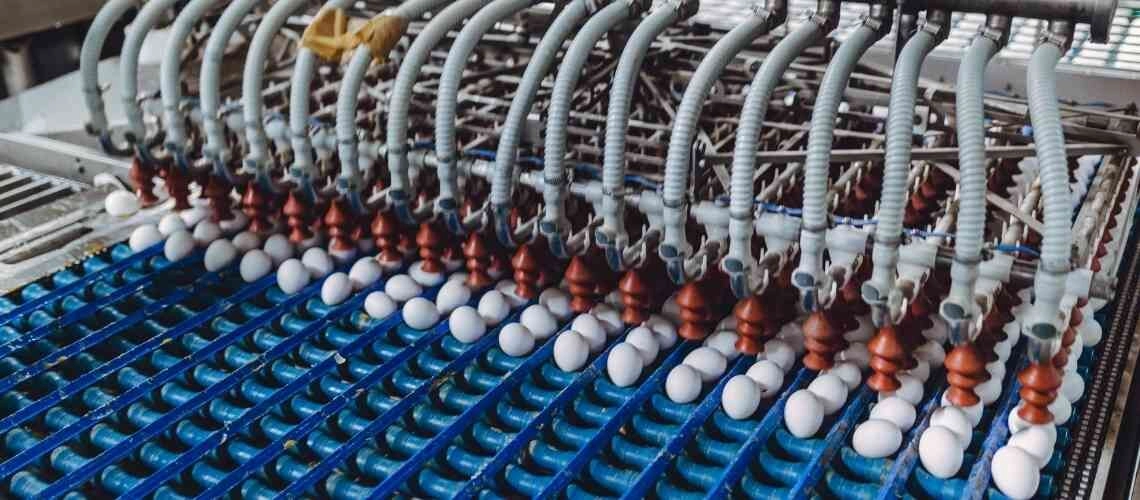 производство ЯСЕНСВИТ HALAL