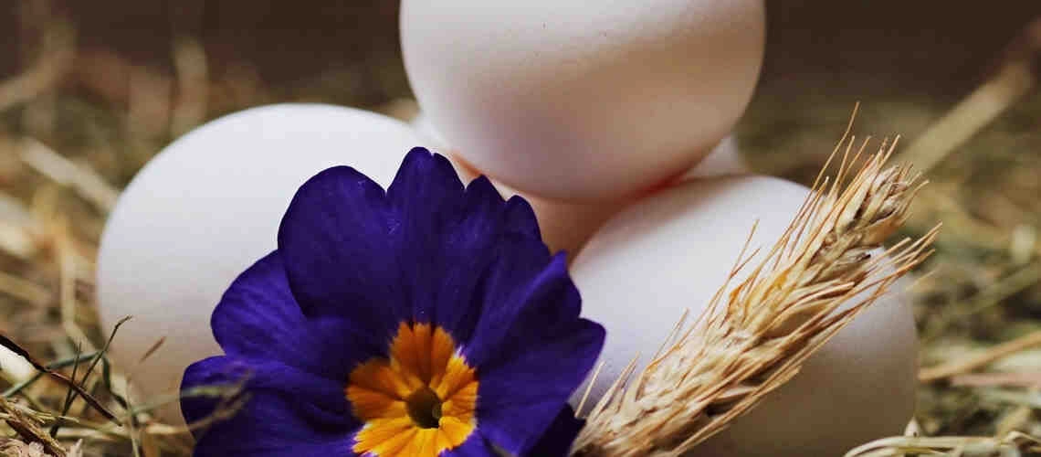 Топ-7 полезных свойств яйца Топ-7 полезных свойств яйца