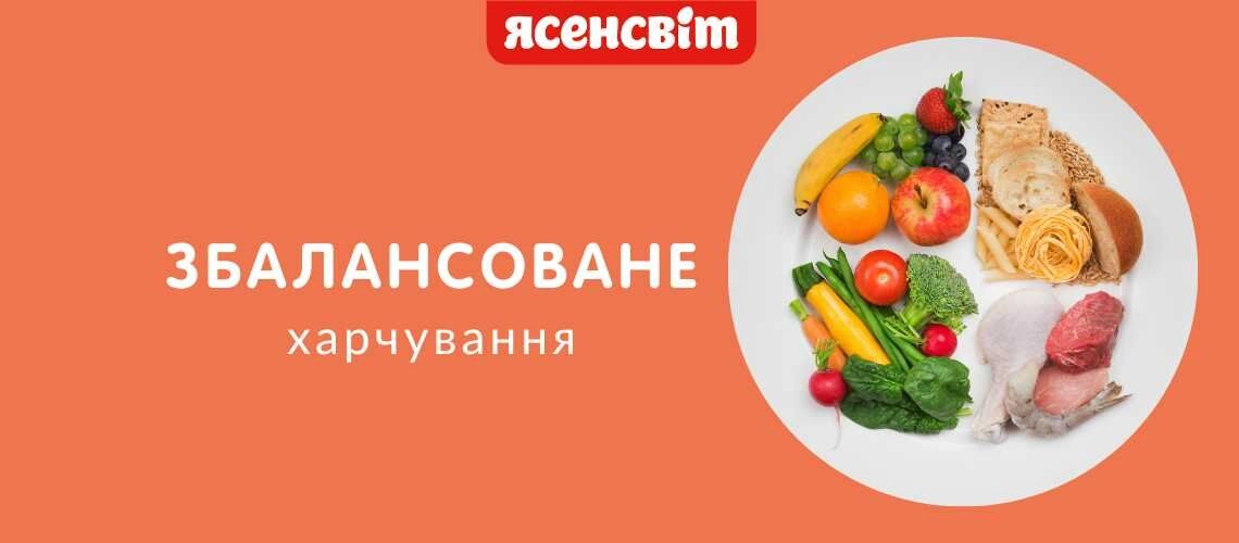 Сбалансированное питание Сбалансированное питание для похудения