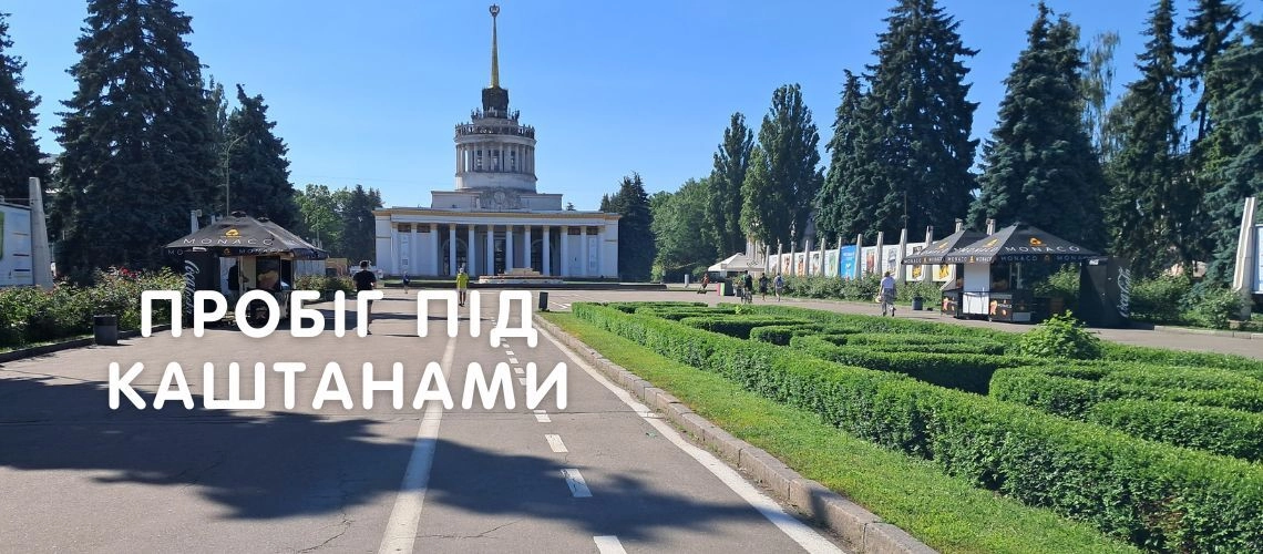 Пробег под каштанами в День Киева Пробег под каштанами 2024