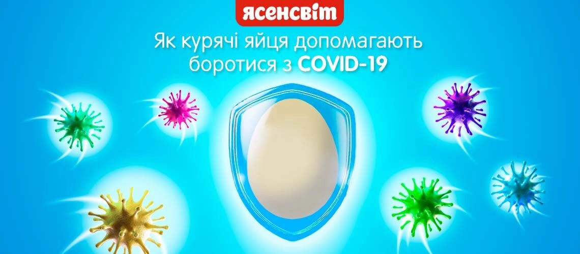 Как куриные яйца помогают бороться с COVID-19