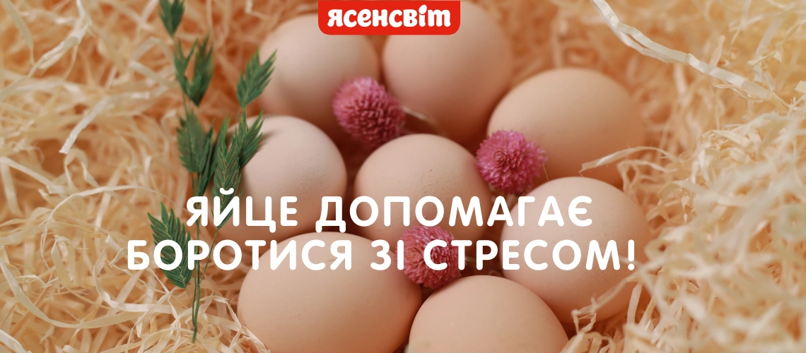 Яйце допомагає боротися зі стресм 