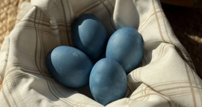 Яйця пофарбовані червоною капустою 