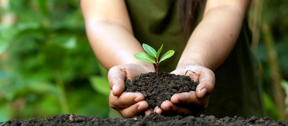 Экологическая ответственность и защита окружающей среды – наш вклад Экологическая ответственность