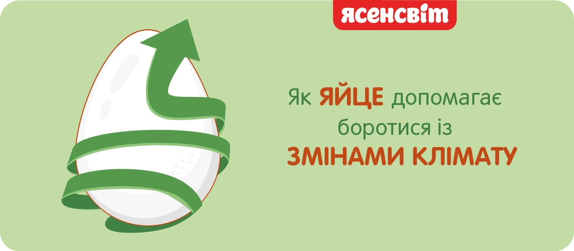 Яйцо помогает бороться с изменениями климата влияние производства яйца на климат